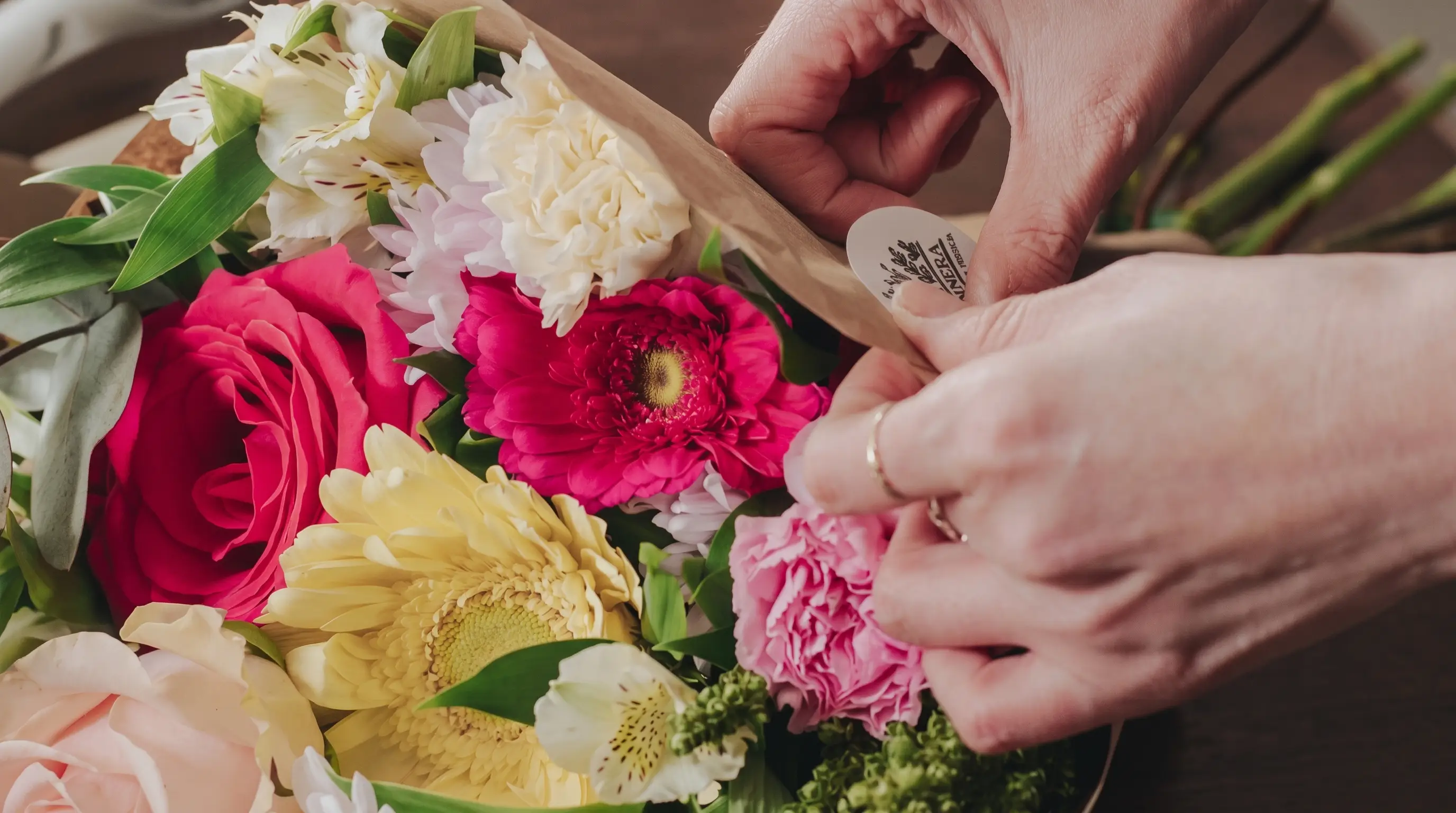 Manos de florista envolviendo en papel kraft un ramo de rosas fucsia, gerberas, claveles y alstroemerias